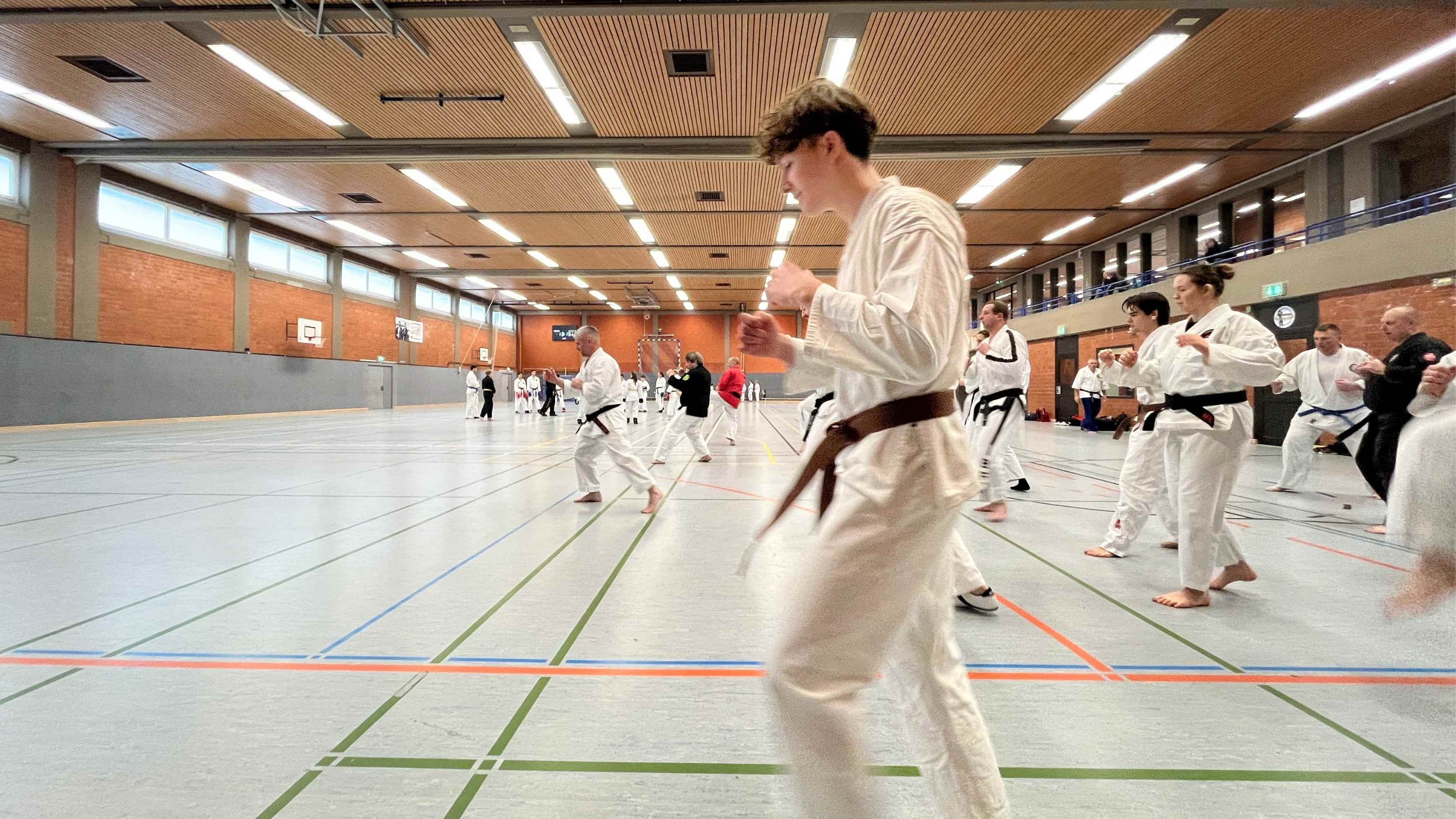 IBF Gremium26 Action2