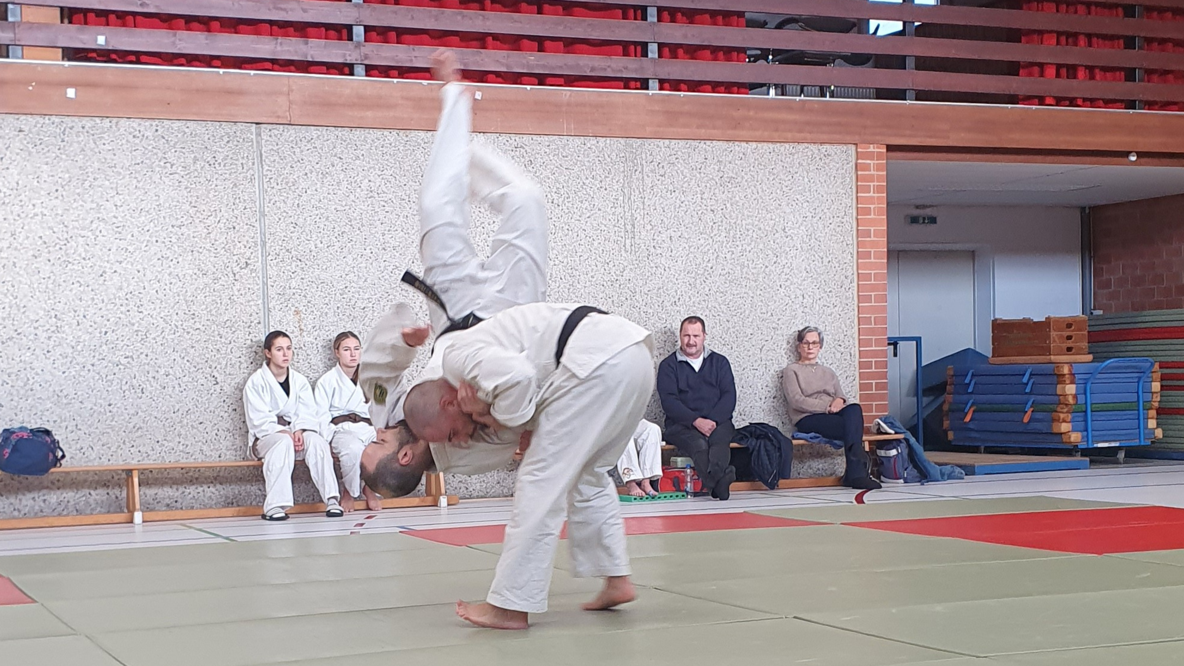 2512 DAN 4 Enrico Action