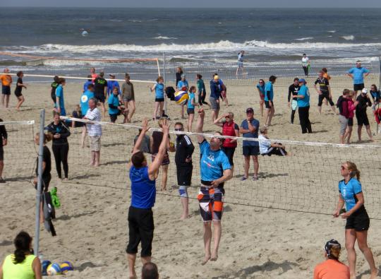 Strandflöhe in Action